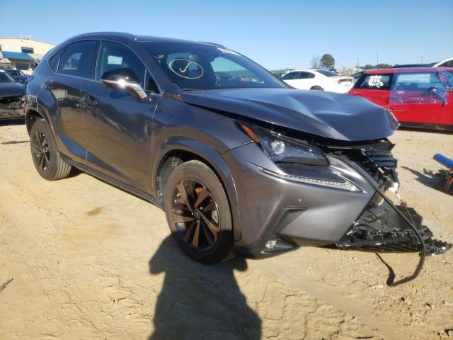 Lexus Nx 300 (2020)