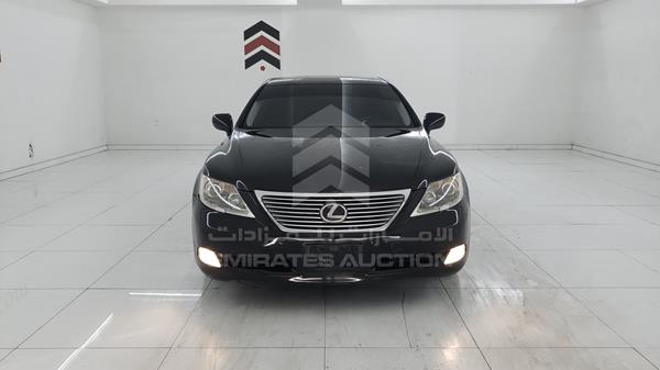 Lexus Ls 460 l (2011)