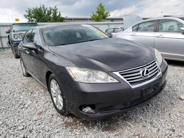 Lexus Es 350 (2011)