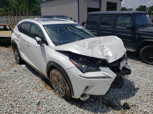 Lexus Nx 300 bas (2021)
