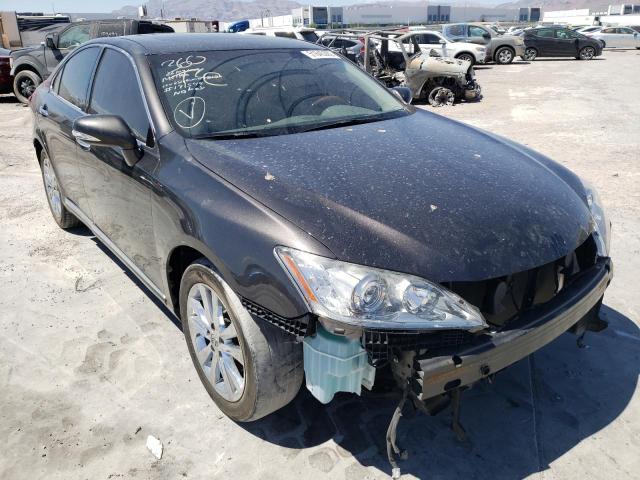 Lexus Es 350 (2012)