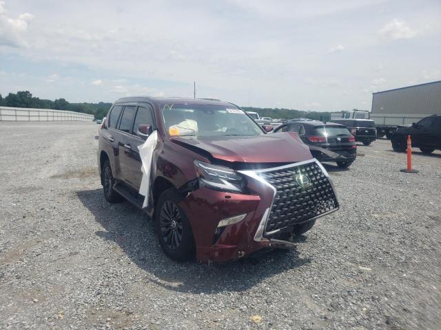 Lexus Gx 460 pre (2021)