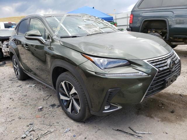 Lexus Nx 300 bas (2021)