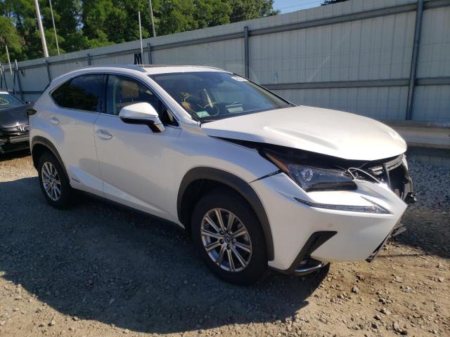 Lexus Nx 300h ba (2021)