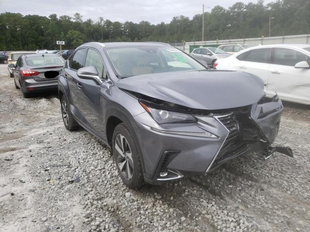 Lexus Nx 300h ba (2021)