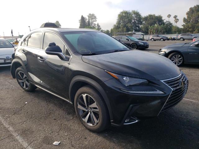 Lexus Nx 300 bas (2018)