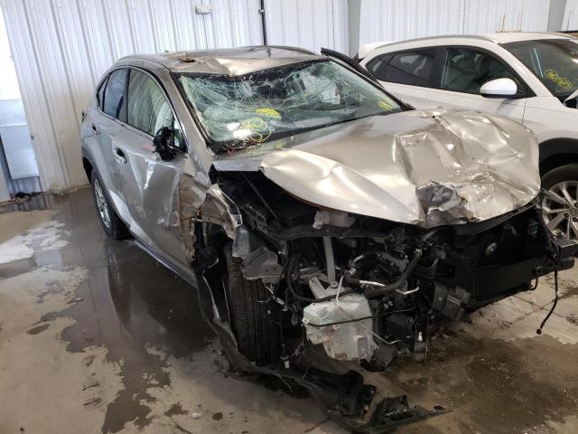 Lexus Nx 300 bas (2021)