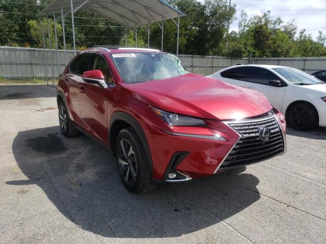 Lexus Nx 300 bas (2021)