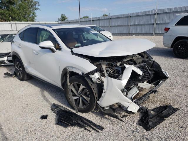 Lexus Nx 300 (2020)