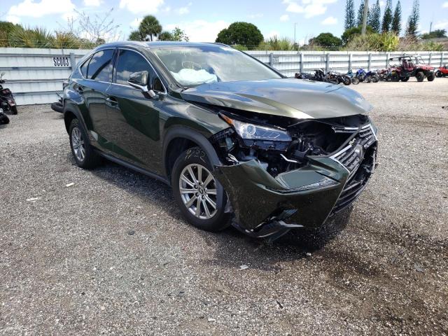 Lexus Nx 300 bas (2021)