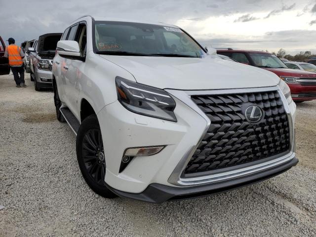 Lexus Gx 460 lux (2022)
