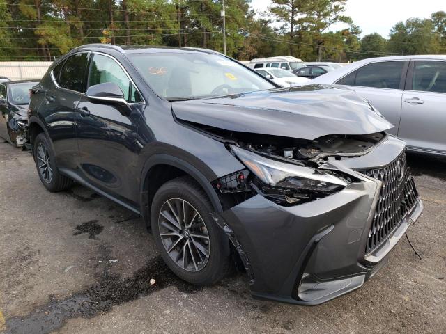 Lexus Nx 250 (2022)