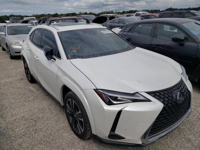Lexus Ux 250h ba (2022)