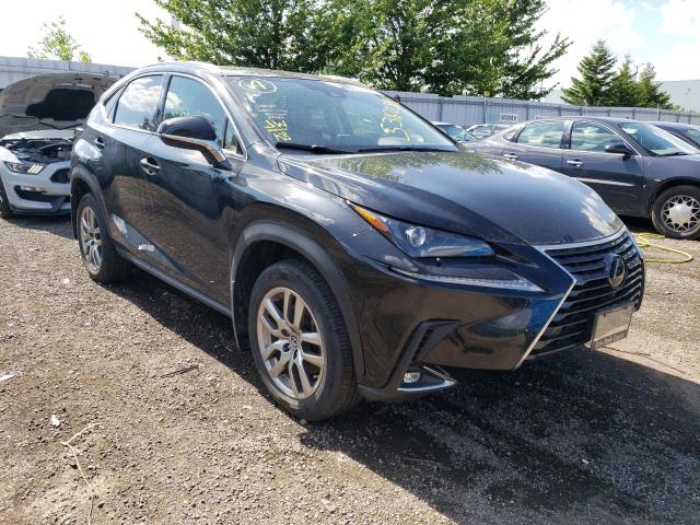 Lexus Nx 300 (2020)