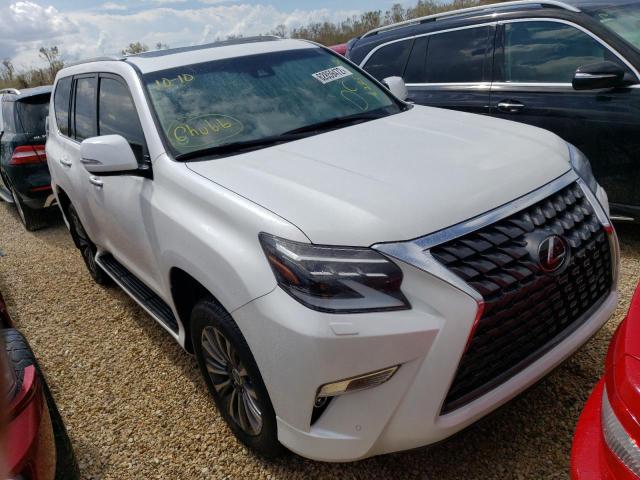 Lexus Gx 460 lux (2022)