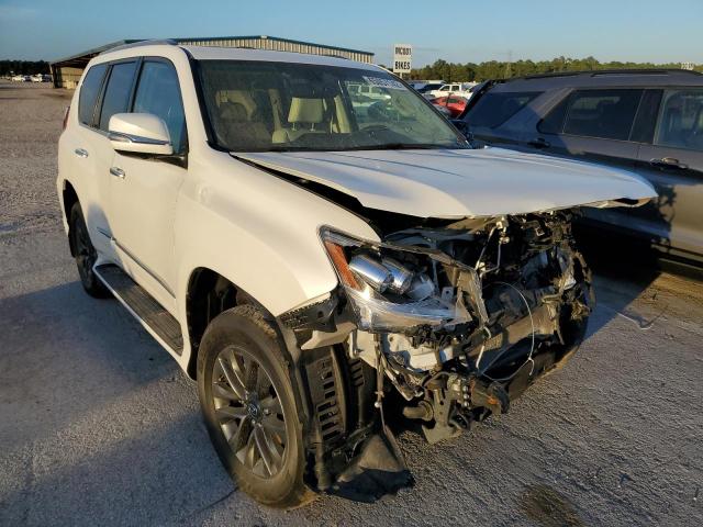 Lexus Gx 460 pre (2019)
