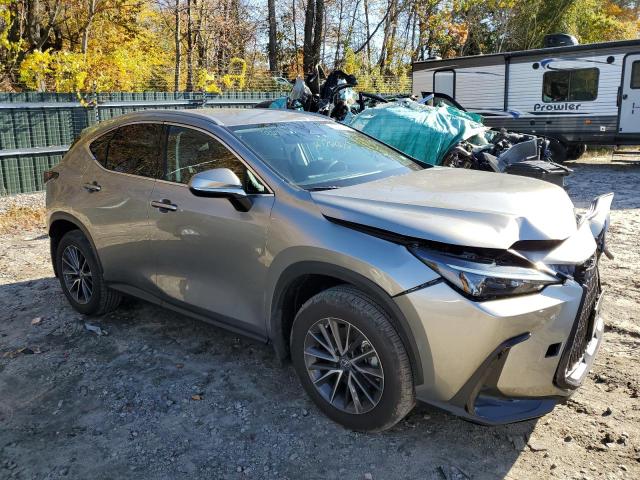 Lexus Nx 250 (2022)