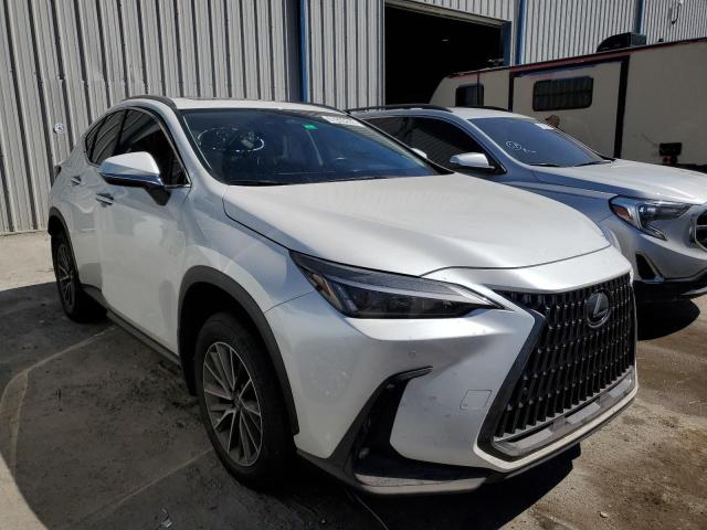 Lexus Nx 250 (2022)