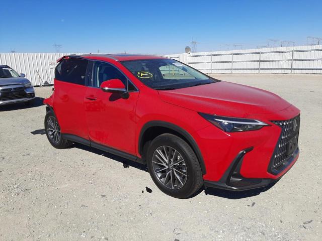 Lexus Nx 350 (2022)