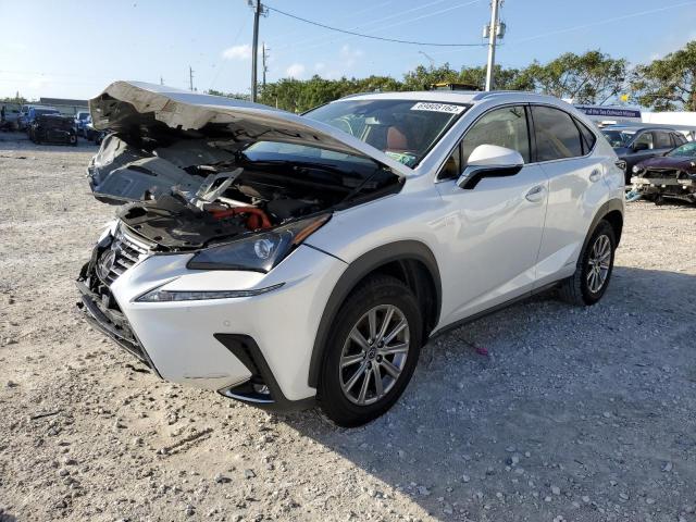 Lexus Nx 300h ba (2021)