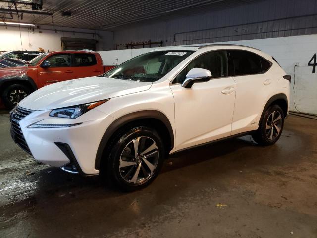 Lexus Nx 300h ba (2021)
