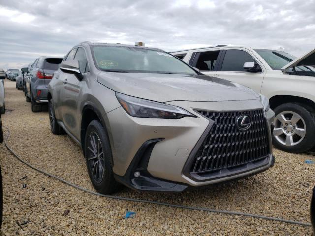 Lexus Nx 250 (2022)