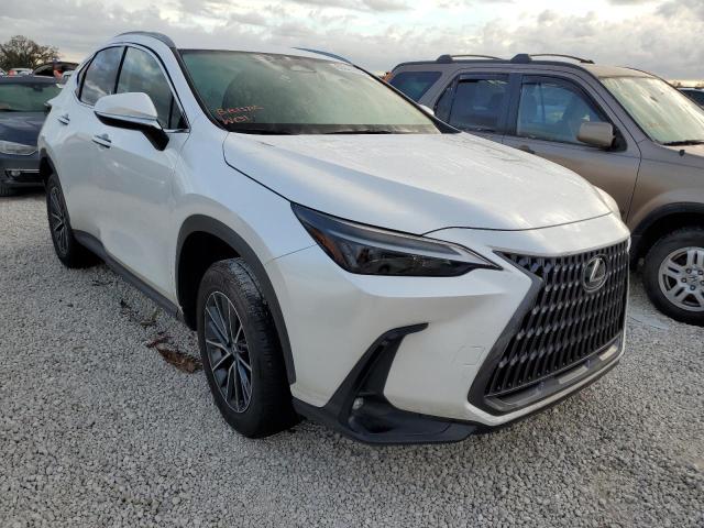 Lexus Nx 250 (2022)