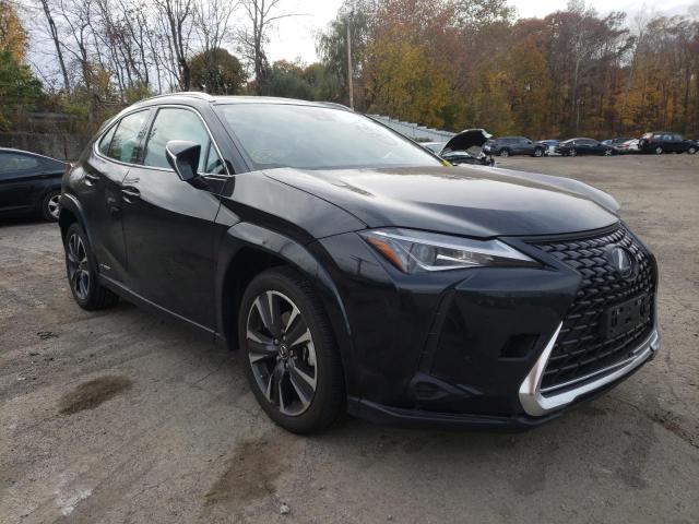 Lexus Ux 250h ba (2022)