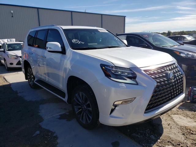 Lexus Gx 460 lux (2022)