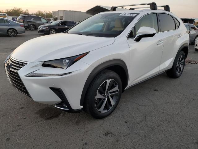Lexus Nx 300h ba (2021)