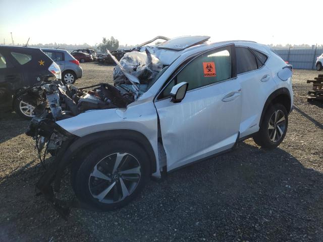 Lexus Nx 300h ba (2021)