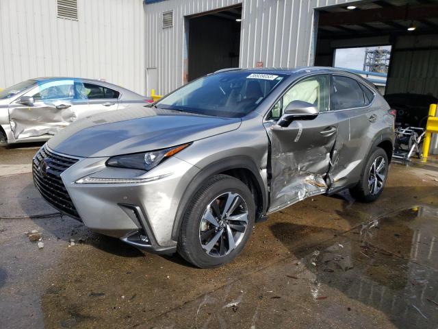 Lexus Nx 300 (2020)