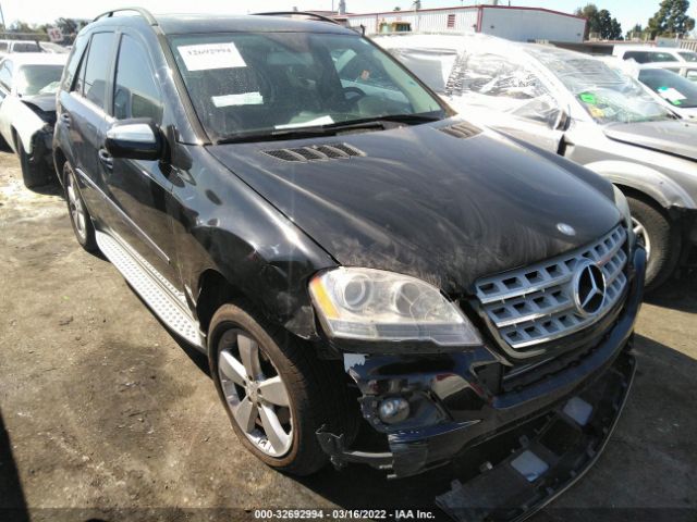 Mercedes-benz M-class (2010)