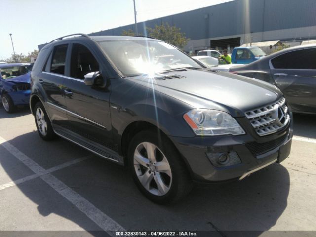 Mercedes-benz M-class (2010)