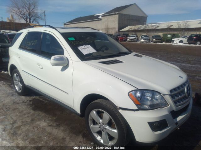 Mercedes-benz M-class (2010)