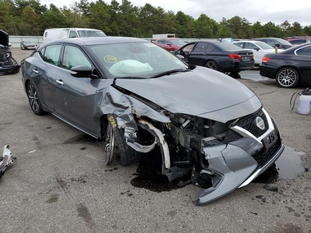 Nissan Maxima sv (2020)