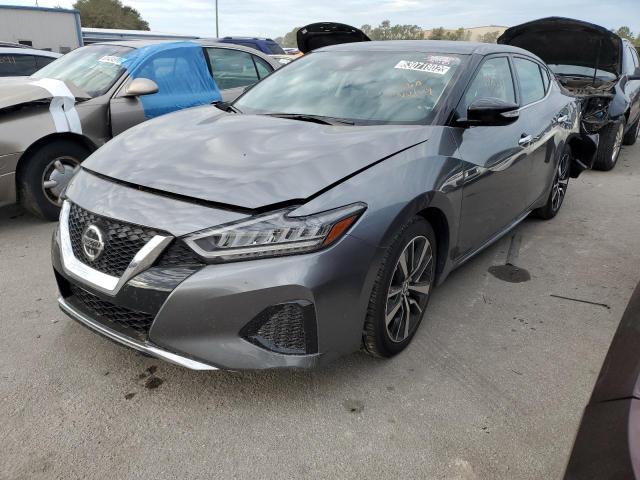 Nissan Maxima sv (2022)