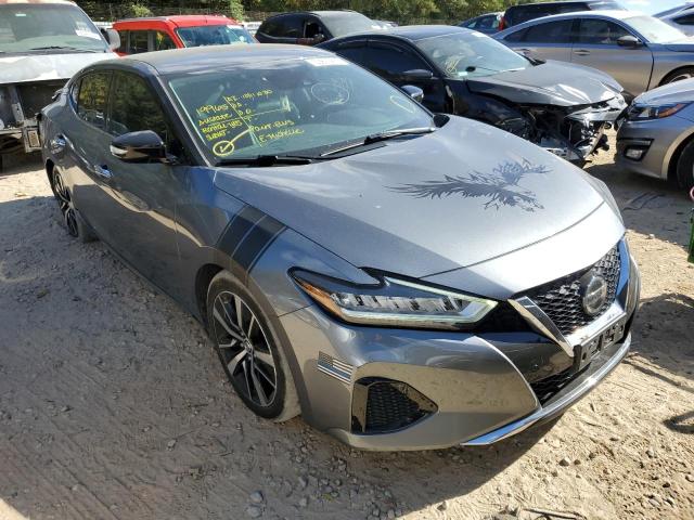 Nissan Maxima sv (2021)