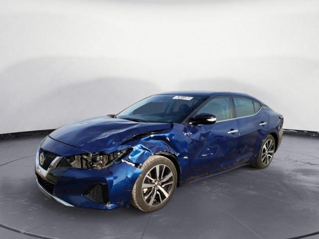 Nissan Maxima sv (2022)