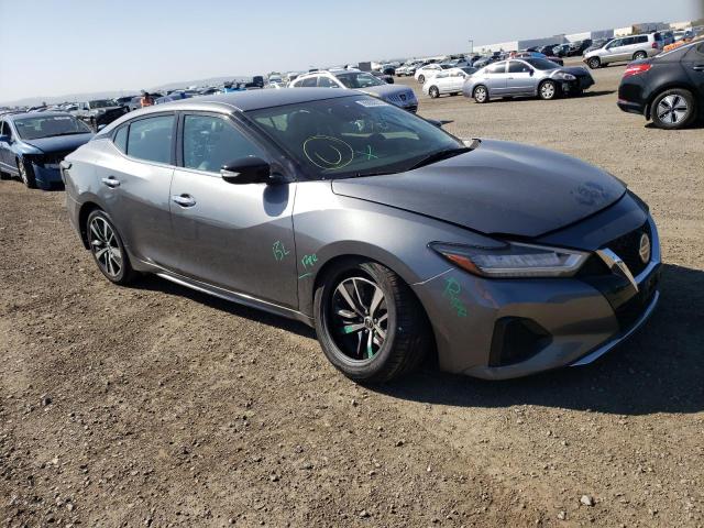 Nissan Maxima sv (2020)