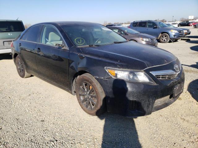 Toyota Camry hybr (2010)