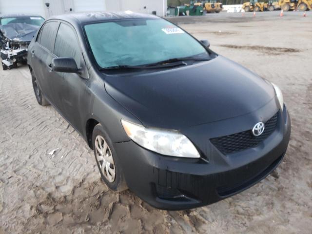 Toyota Corolla ba (2010)