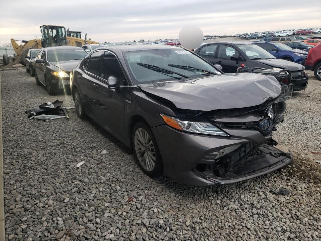 Toyota Camry hybr (2019)