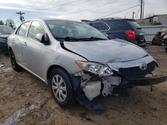 Toyota Corolla ba (2010)