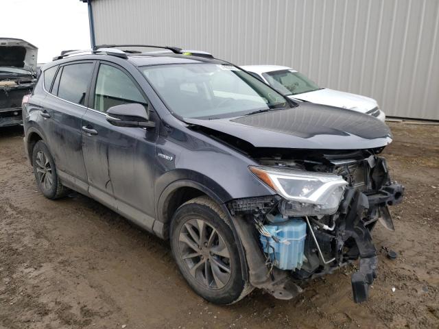 Toyota Rav4 hv xl (2016)
