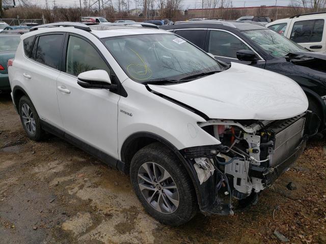 Toyota Rav4 hv xl (2016)