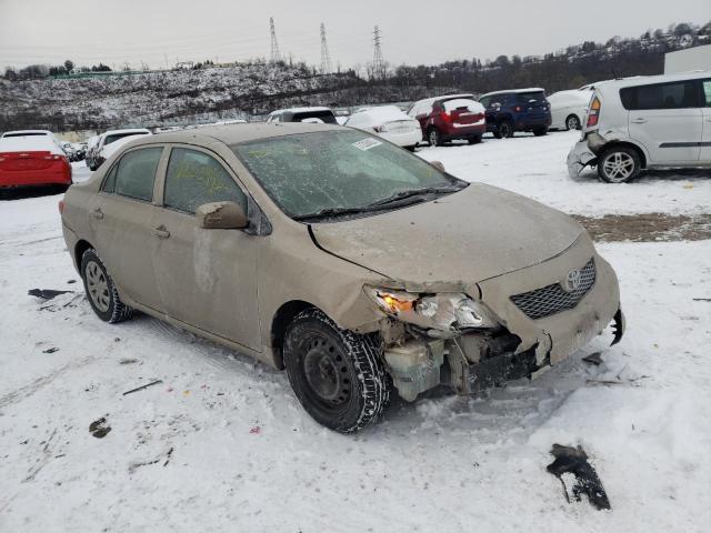 Toyota Corolla ba (2010)