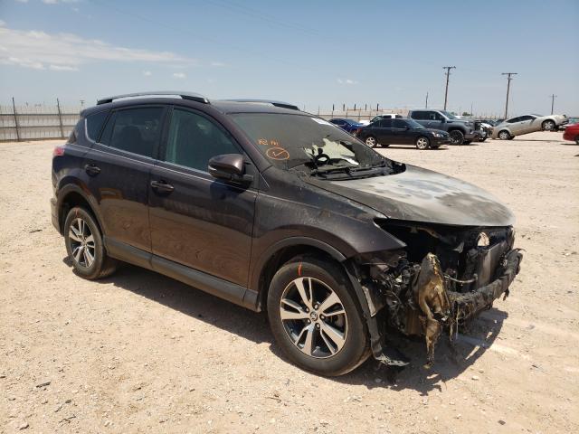 Toyota Rav4 xle (2017)