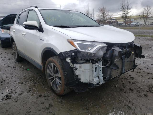 Toyota Rav4 hv le (2018)