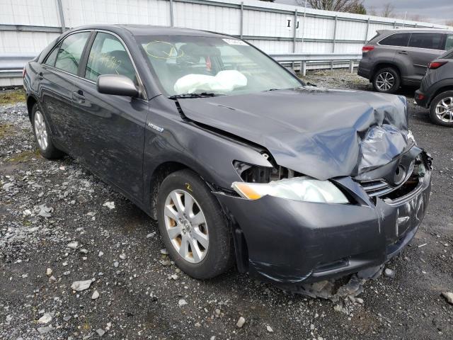 Toyota Camry hybr (2008)